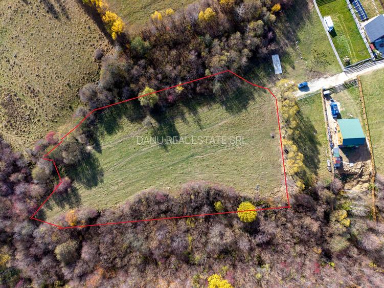 Teren intravilan 5723mp Zarnesti Tohanita- case de vacanta,investitie in turism - 17