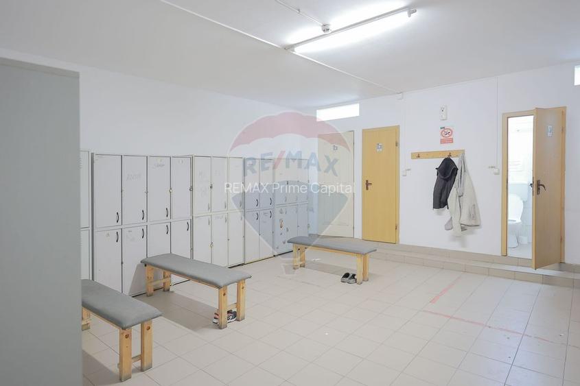 De vânzare spațiu industrial PGS Sofa, calea Borșului - 13