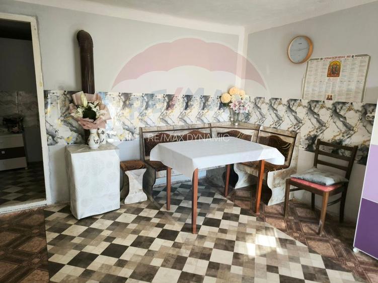 Casă renovată cu teren generos în Satu Mare,Secusigiu - 23