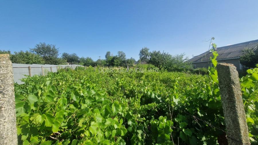 NUFARU-  TEREN INTRAVILAN , 1100 MP - 4