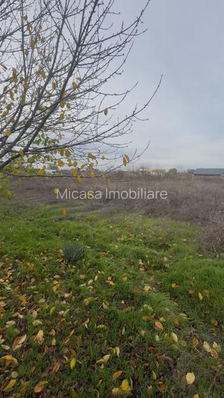 Teren INTRAVILAN sat Costi - 2