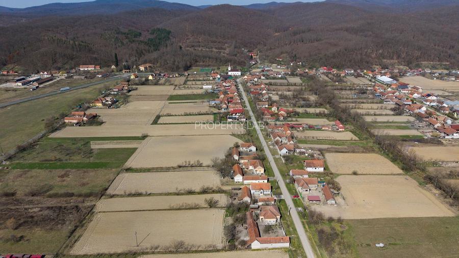 Loc de casă în Odvoș - Conop 3000mp - 14
