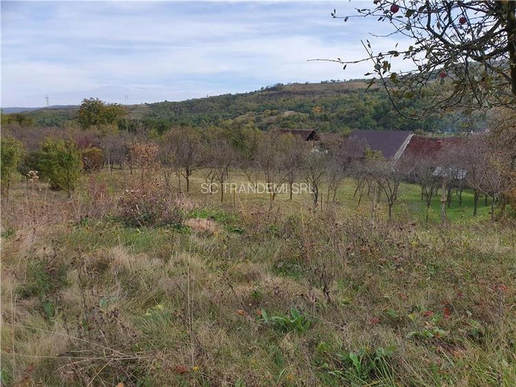 Casă Tradițională Săsească ?n loc.Aciliu cu 2974mp tere - 25