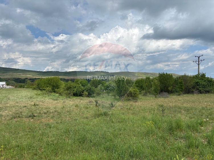 Teren de vanzare 13783mp, front la DN, parcela unica zona de vest - 2