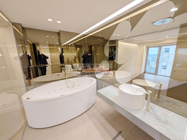 Innhiriere Penthouse Iancu Nicolae Gradina Zoologica - 25