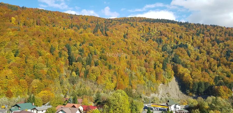 Garsoniera Sinaia Valea Prahovei Parcare Subterana SPA - 10