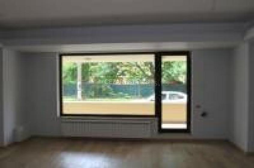 HERASTRAU SOSEAUA NORDULUI STUDIO PREMIUM CU TERASA GENEROASA - 5