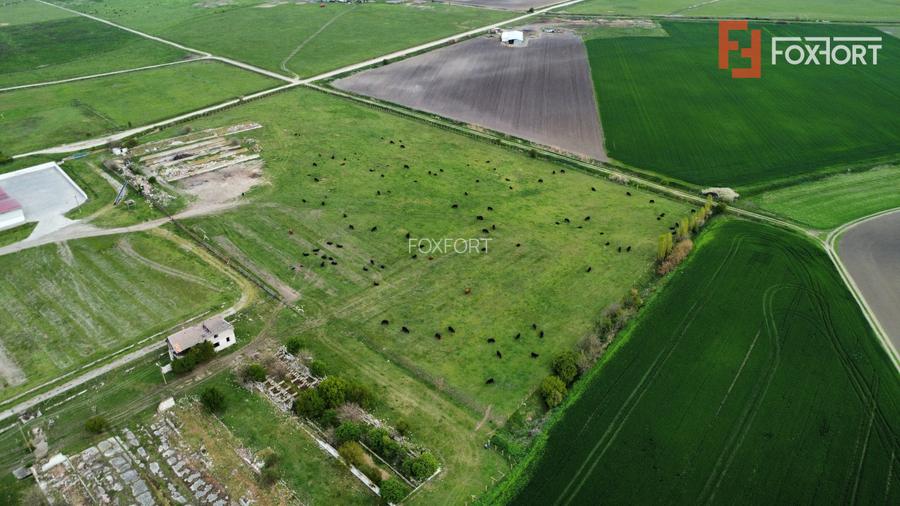 Teren intravilan cu suprafata de 58.340 mp, in Sanmartinul Sarbesc - 11