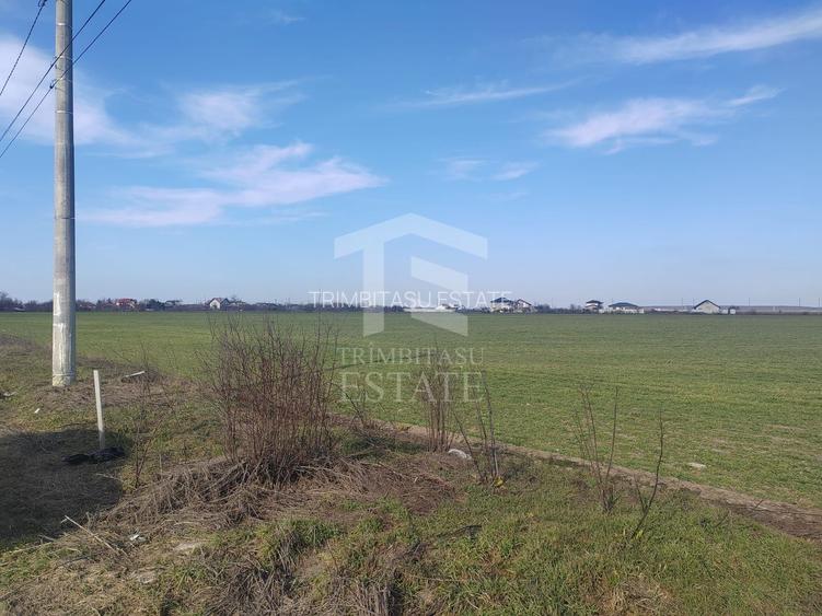 Cernica Tanganu  Parcele 1023 mp  la 17.000 euro - 5