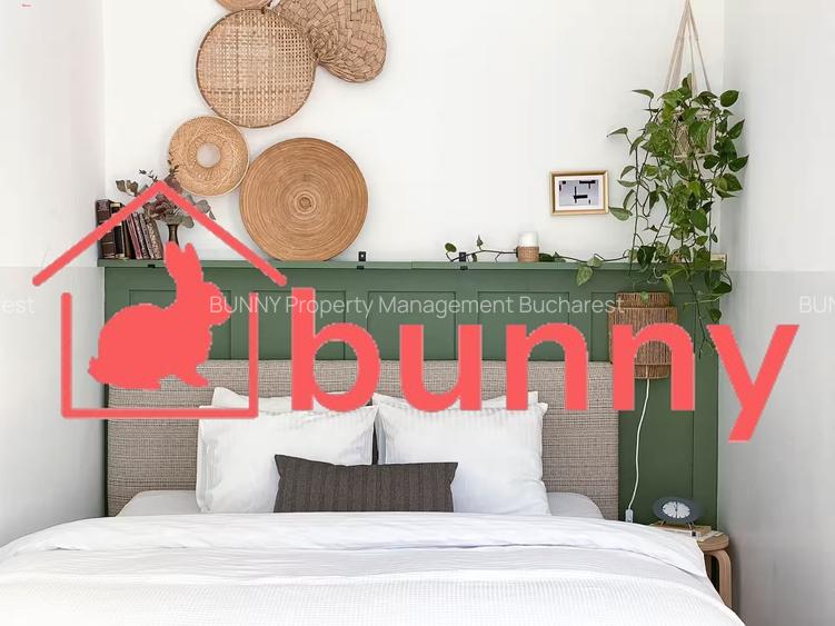 COZY STUDIO ARMENEASCA - 6