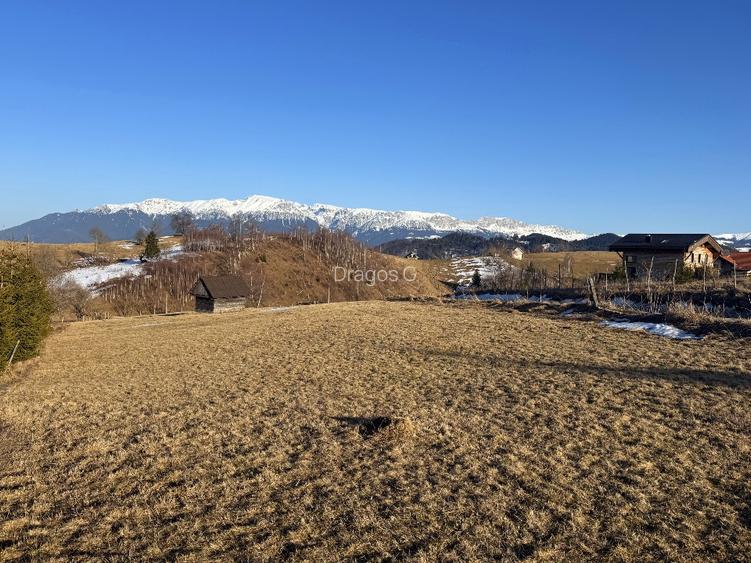 Teren satul Sirnea, intravilan, deschidere 120 m la drum asfaltat,  - 2