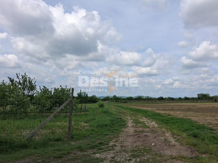 Teren Extravilan de Vânzare – Mărăcineni, Sat Argeșelu - 3