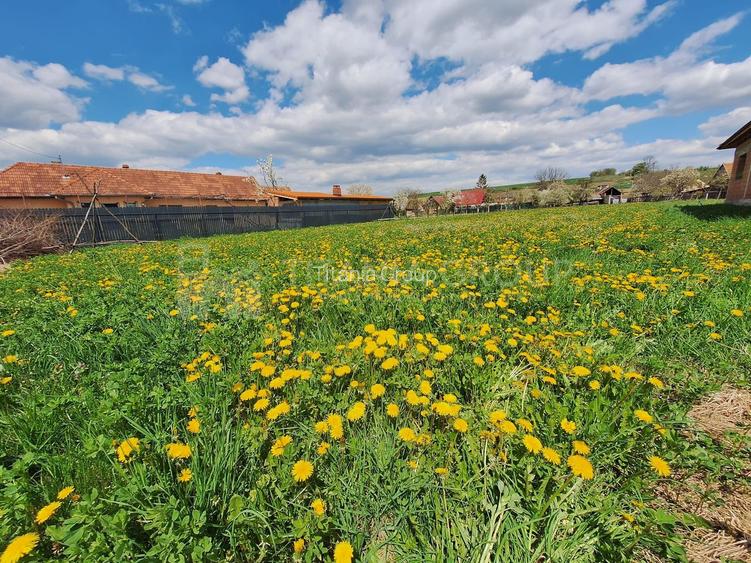 Teren de 1451 mp cu utilitati -  Haghig, jud. Covasna - 2