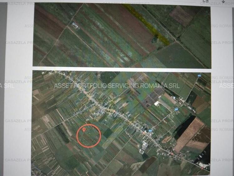 Teren 6.797mp Tartasesti 9850 eur - 2