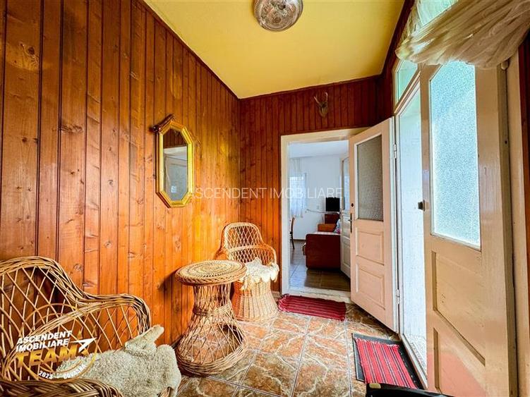 FILM! 5.000mp teren intravilan cu casuta rustica, Dalnic, Covasna - 12