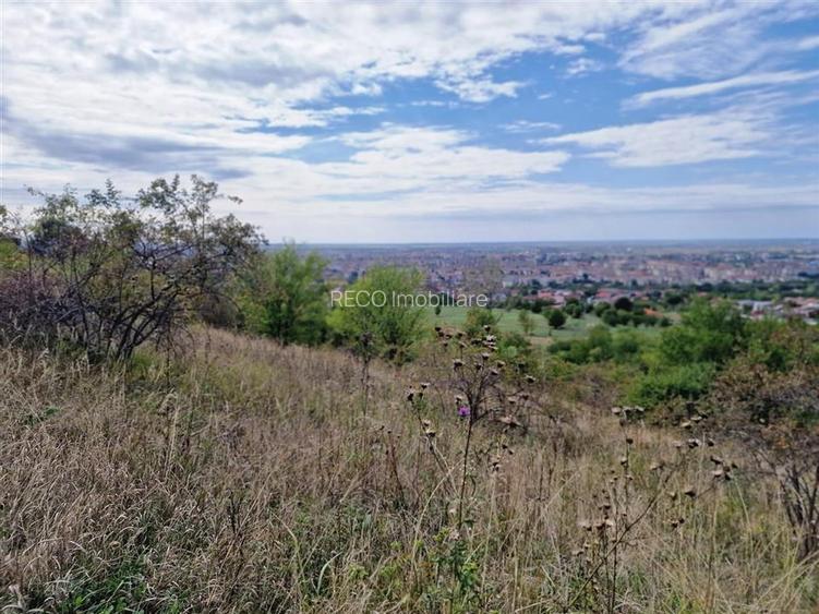 RECO Teren  intravilan- panorama asupra orasului -str. Caisilor - 14