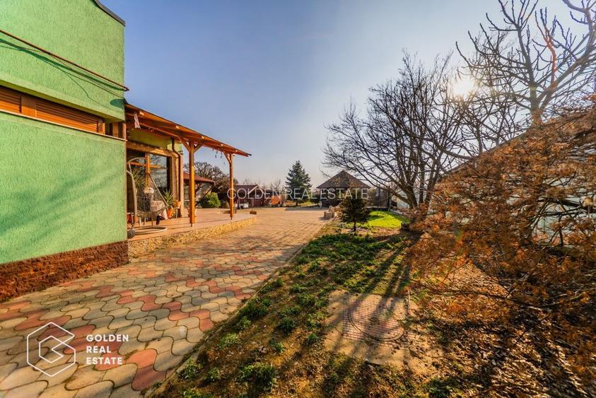 Vila spatioasa cu cinci dormitoare și teren generos de 1440 m in Aradul Nou - 35