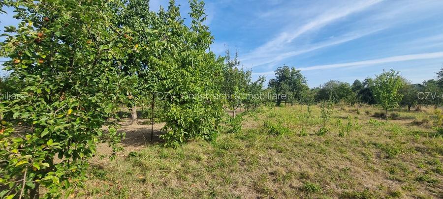 Teren 2000 mp de vânzare – Comana, deschidere la lac, aproape de Parcu - 9