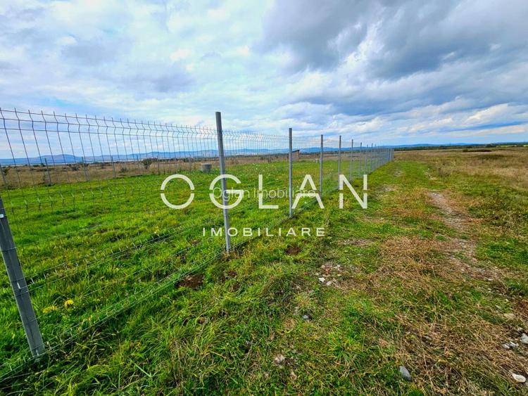 SUPER OFERTA! Teren  1000 mp, Vl. Avrigului SIBIU - 9