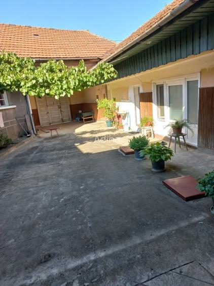 Casa de vânzare zona Cheile Nerei - jud. Caraș-Severin - 9