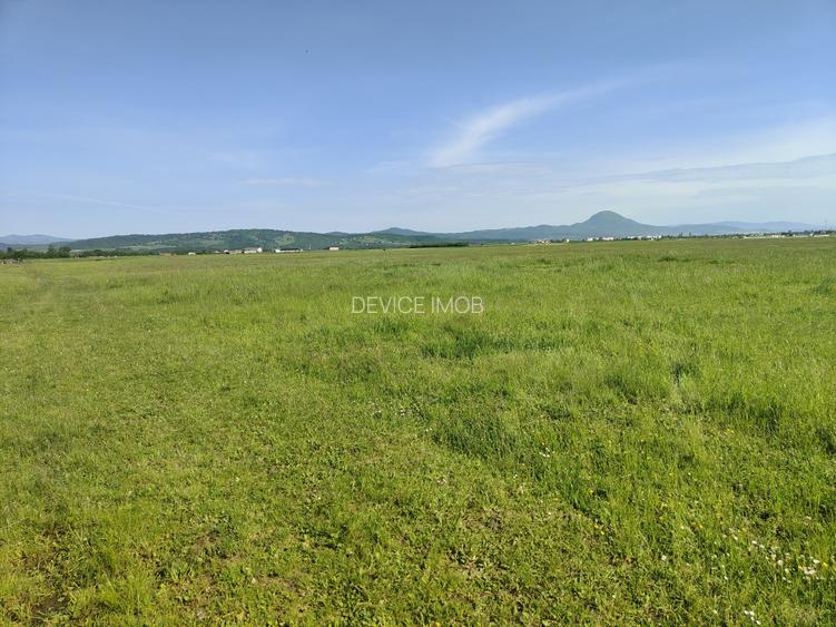 Teren Intravilan  cu destinatie casa vacanta -Glajarie - 7
