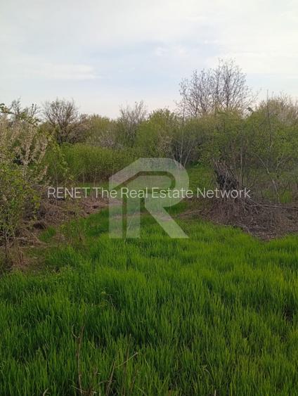 Teren intravilan mixt Buftea – spre Corbeanca | 1.250 mp | Ideal investiție - 5