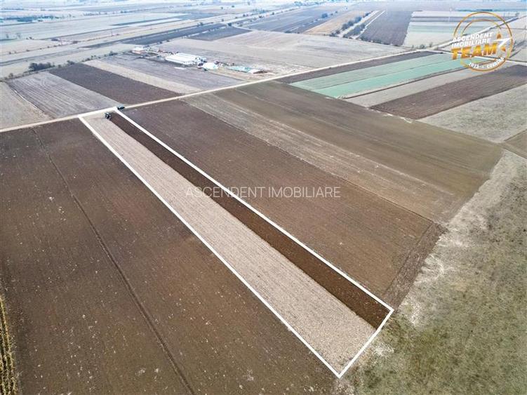 FILM! In areal linistit, acces facil, 4.200 mp  teren extravilan, Covasna - 6