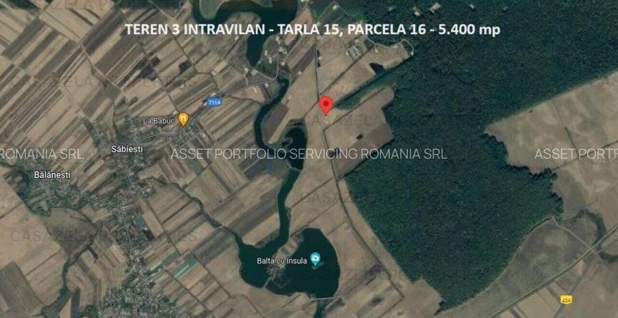 De vanzare 5 loturi langa padure 33.000 mp - Racari - Licitatie - 3