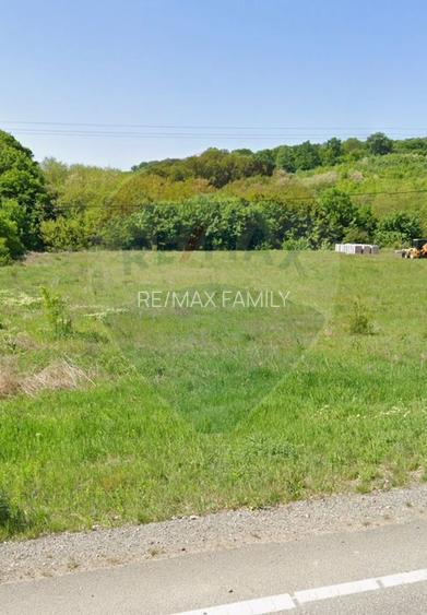 Teren intravilan de vanzare in Hidiselul de Jos, jud.Bihor - 12