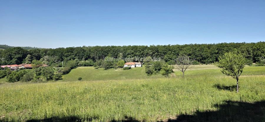 Casa de vanzare si teren de 24000 mp in Fasca, langa padure, 45 km de Oradea - 8