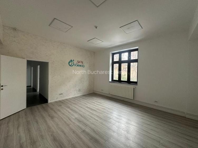 Spatiu birou I Piata Victoriei I Vila interbelica - 4