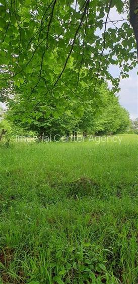 TEREN DE VANZARE 500O MP PUNCT CHETRIS CERDAC SLANIC MOLDOVA - 6