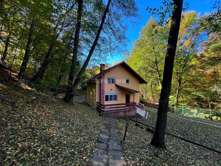 Vila de vanzare langa PITESTI; 3 dormitoare, 2 bai ; complet mobilata si utilata - 13