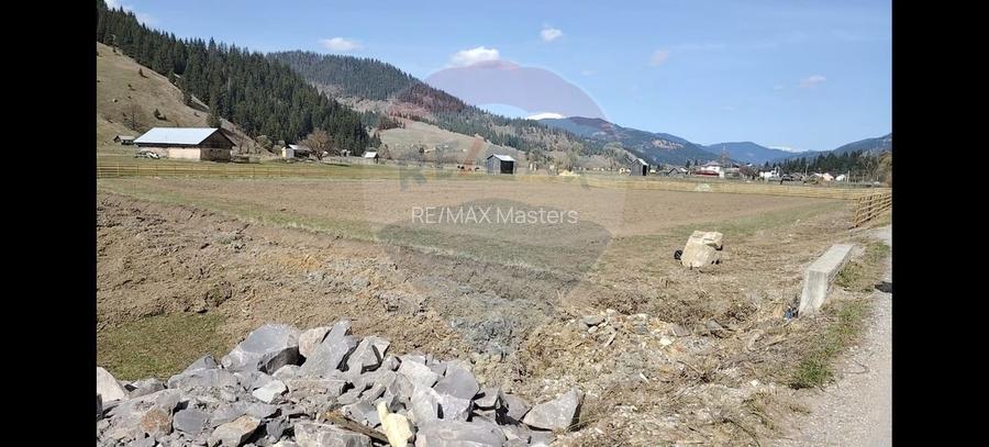 Teren 7,834mp Dorna-Arini / Strada Gheorghițeni - 11