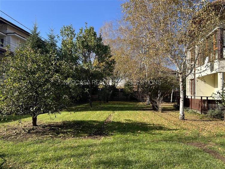 Vila la marginea padurii | curte superba | Iancu Nicolae - 4