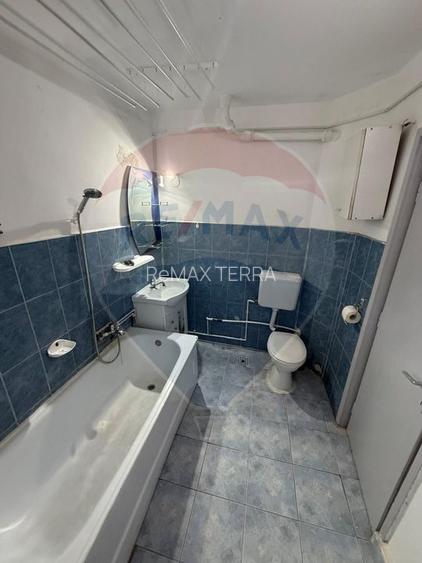 Chirie Pet Friendly apartament 2 camere Caragiale - 8