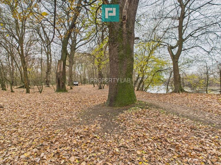 Teren pe malul Muresului- oportunitati multiple - 22