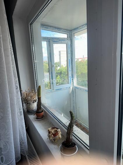 Vând apartament cu 3 camere în zona Sagului Timisoara - 13