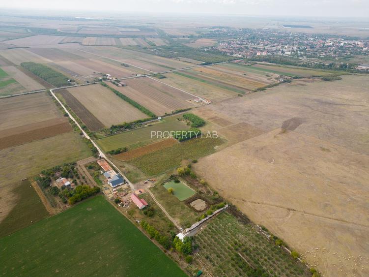 Teren intravilan cu iazuri și casă - Chișineu-Criș - 13