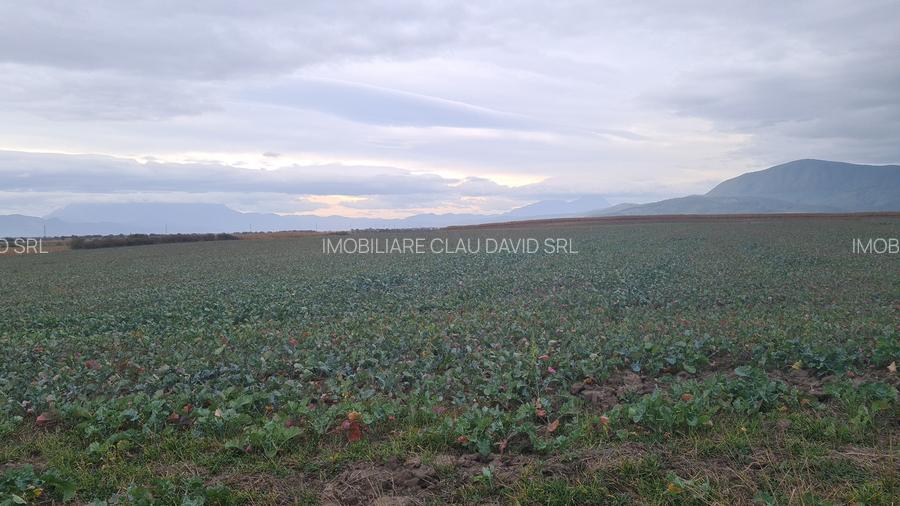 Oază de Natură și Potențial: Teren de 48.100 mp lângă Delta din Carpați - 3