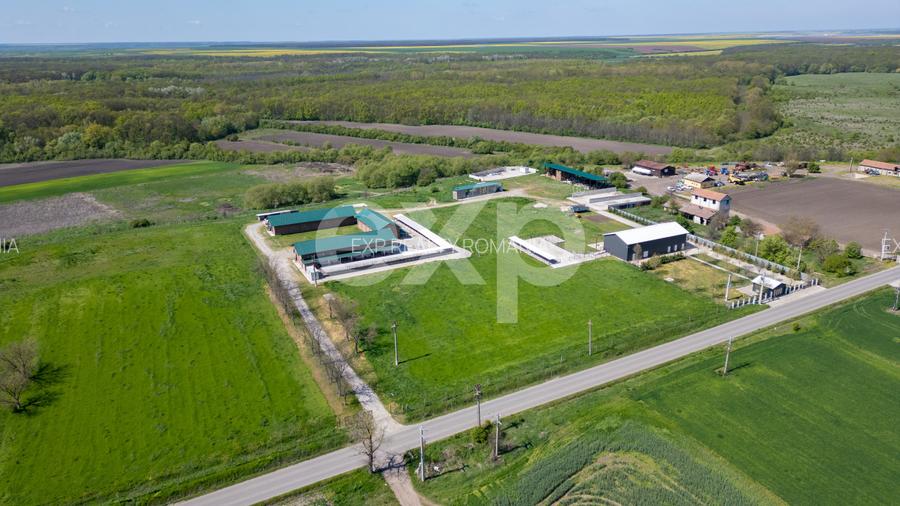 Black Angus Farm with authorized Slaughterhouse - 9