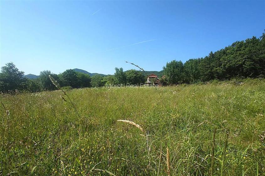 Teren intravilan de vanzare  in Luncoiu de Jos, sat Luncoiu de Sus, 3000 mp - 3