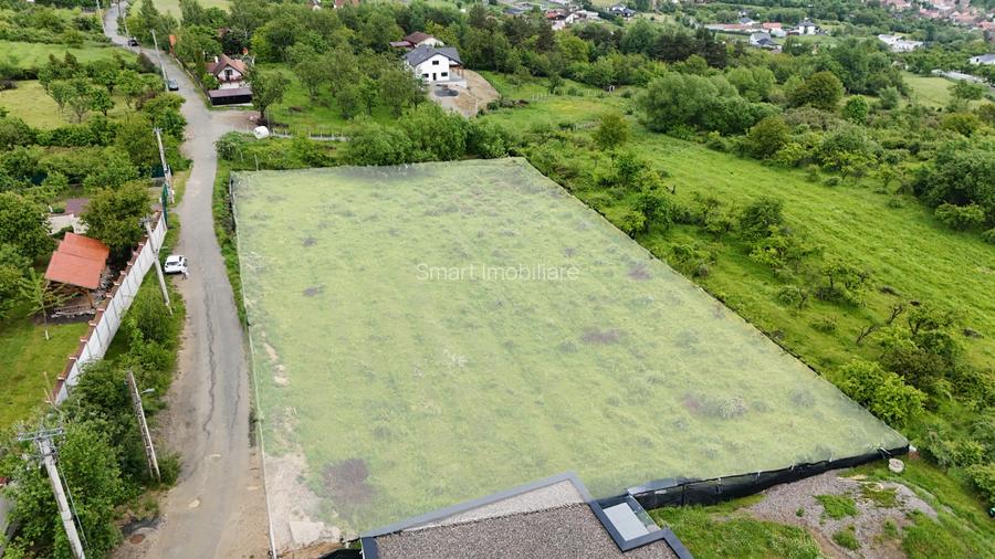 Teren intravilan 4000mp Cisnadioara str. Ciresilor - 3