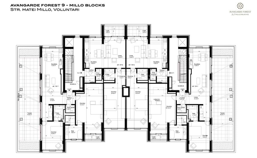 AVANGARDE Forest 9 - MILLO BLOCKS - 2