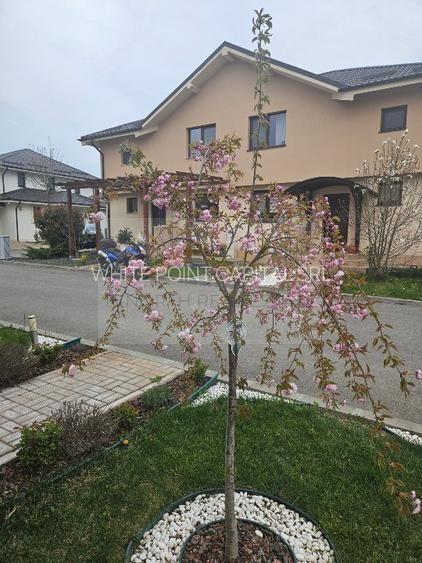 4 camere de închiriat în Complex Paladin, Corbeanca | Mobilat complet | Terasă - 9