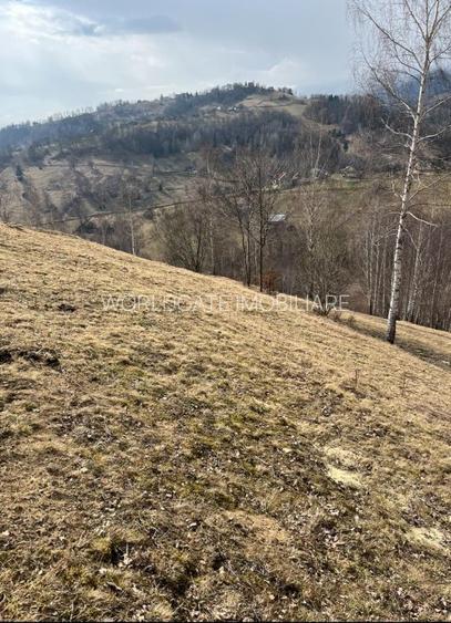 Vanzare Teren cu Punct de Belvedere in Moieciu zona Magura-Pestera - 10