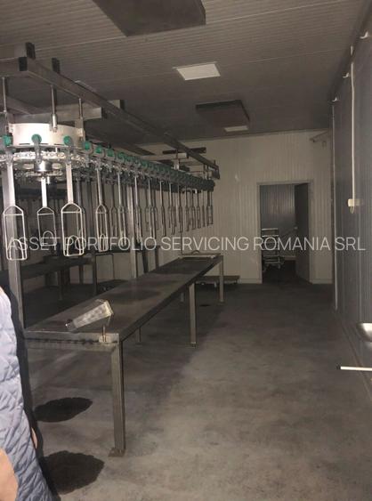 Abator pasari - Nadlac, Arad - 2