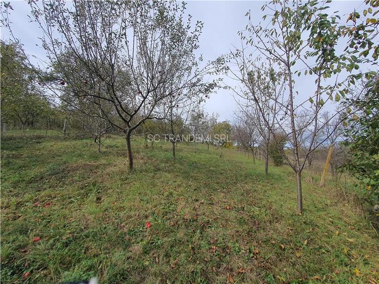 Casă Tradițională Săsească ?n loc.Aciliu cu 2974mp tere - 26