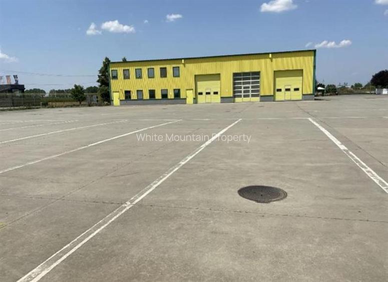 Pecica, 12000 mp platforma, inchiriere lunga durata, - 9