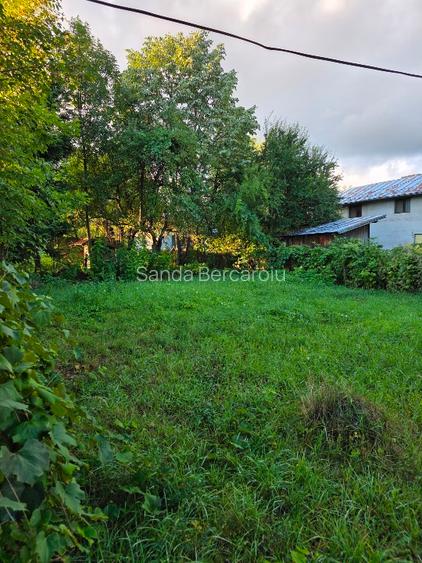 Teren 2500 mp – POTENȚIAL BUSINESS / DEZVOLTARE – Breaza - 13